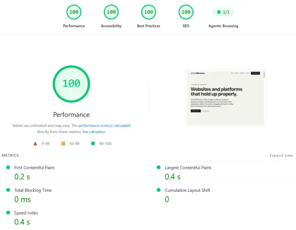 PageSpeed audit for the Subtle Difference website showing a performance score of 100