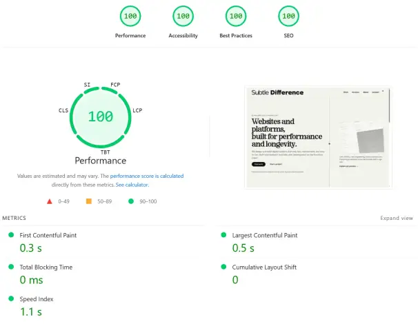 PageSpeed audit for the Subtle Difference website showing a performance score of 100